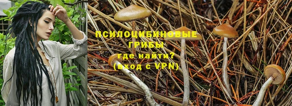 сатива Алексеевка